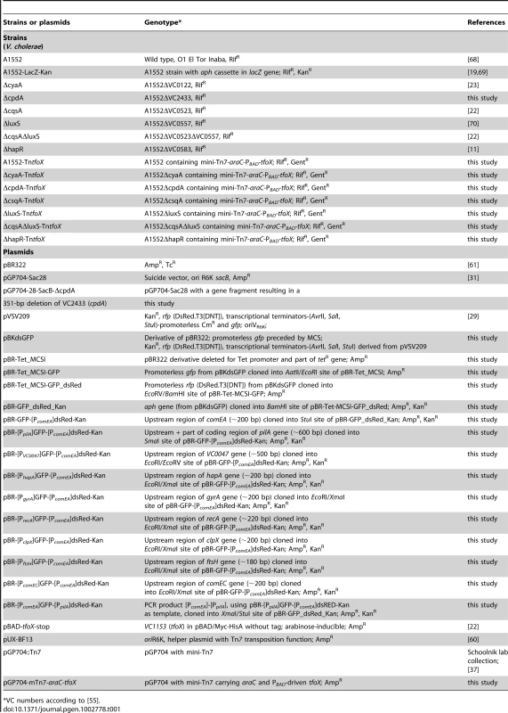Bacterial strains and plasmids.