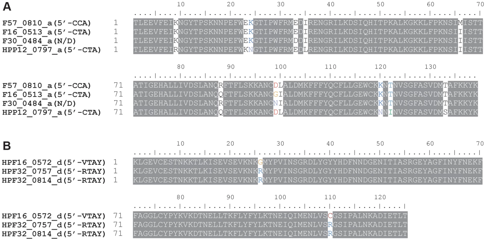 TRD sequences within a homology group differing in the recognition sequence.