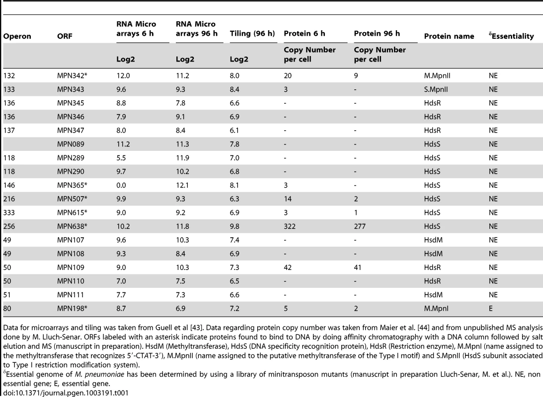Levels of RNA and protein for different proteins of M-R systems of <i>M. pneumoniae</i>.