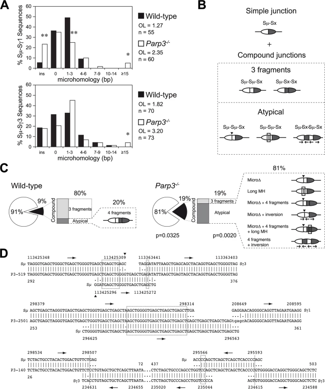 Altered end-joining and enhanced DNA damage at switch regions in <i>Parp3<sup>-/-</sup></i> B cells.