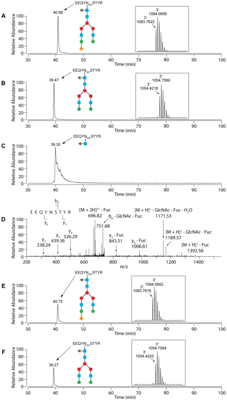 LC-MS analysis of IgG.
