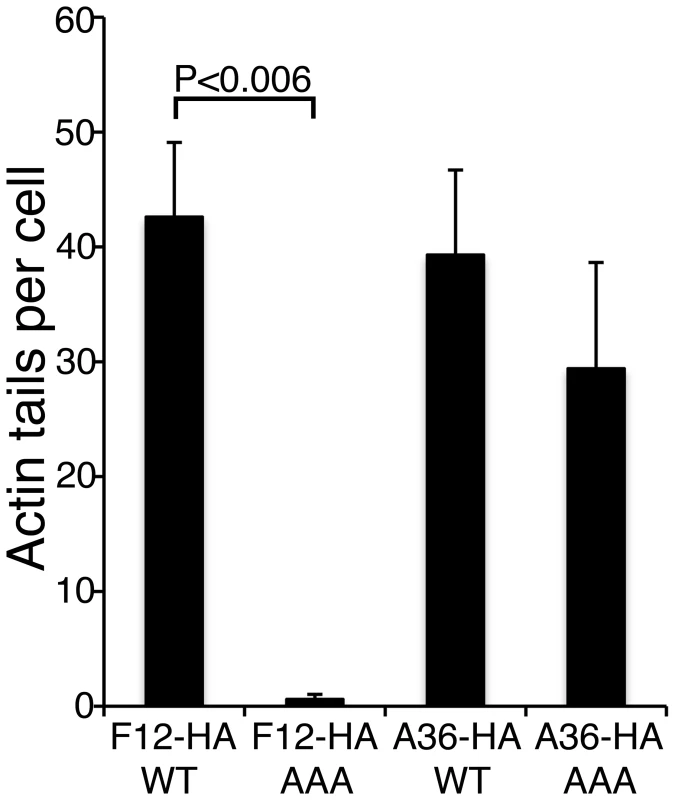 The F12 WD motif is needed for kinesin-1 recruitment.