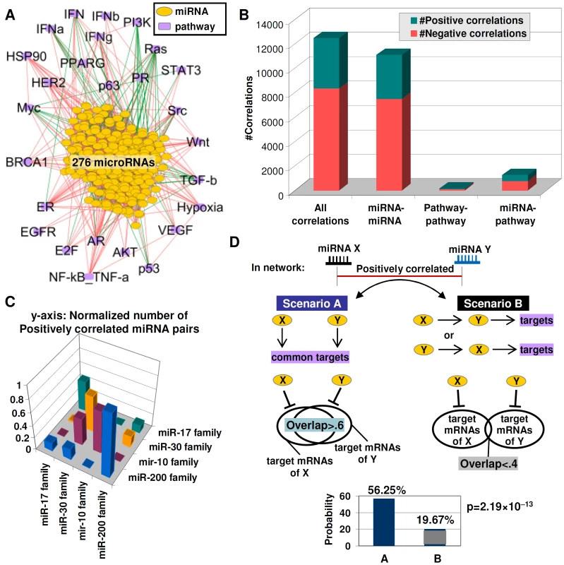 Functional redundancy in the miRNA–pathway network.