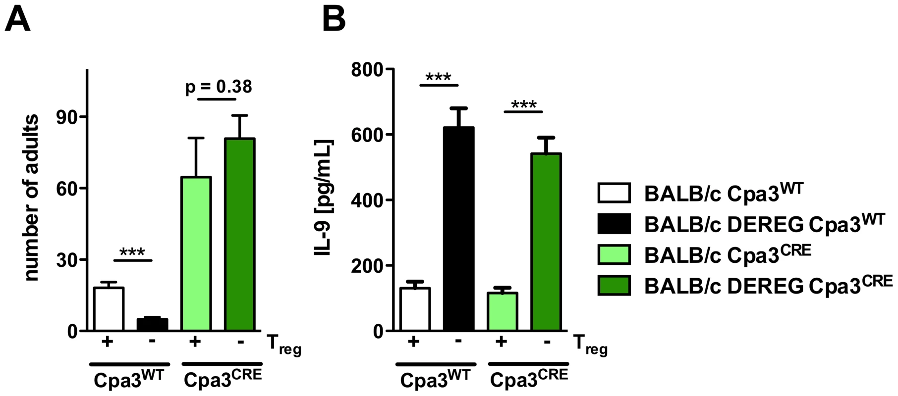 Role of mast cells during <i>S. ratti i</i>nfection in Treg-depleted BALB/c mice.
