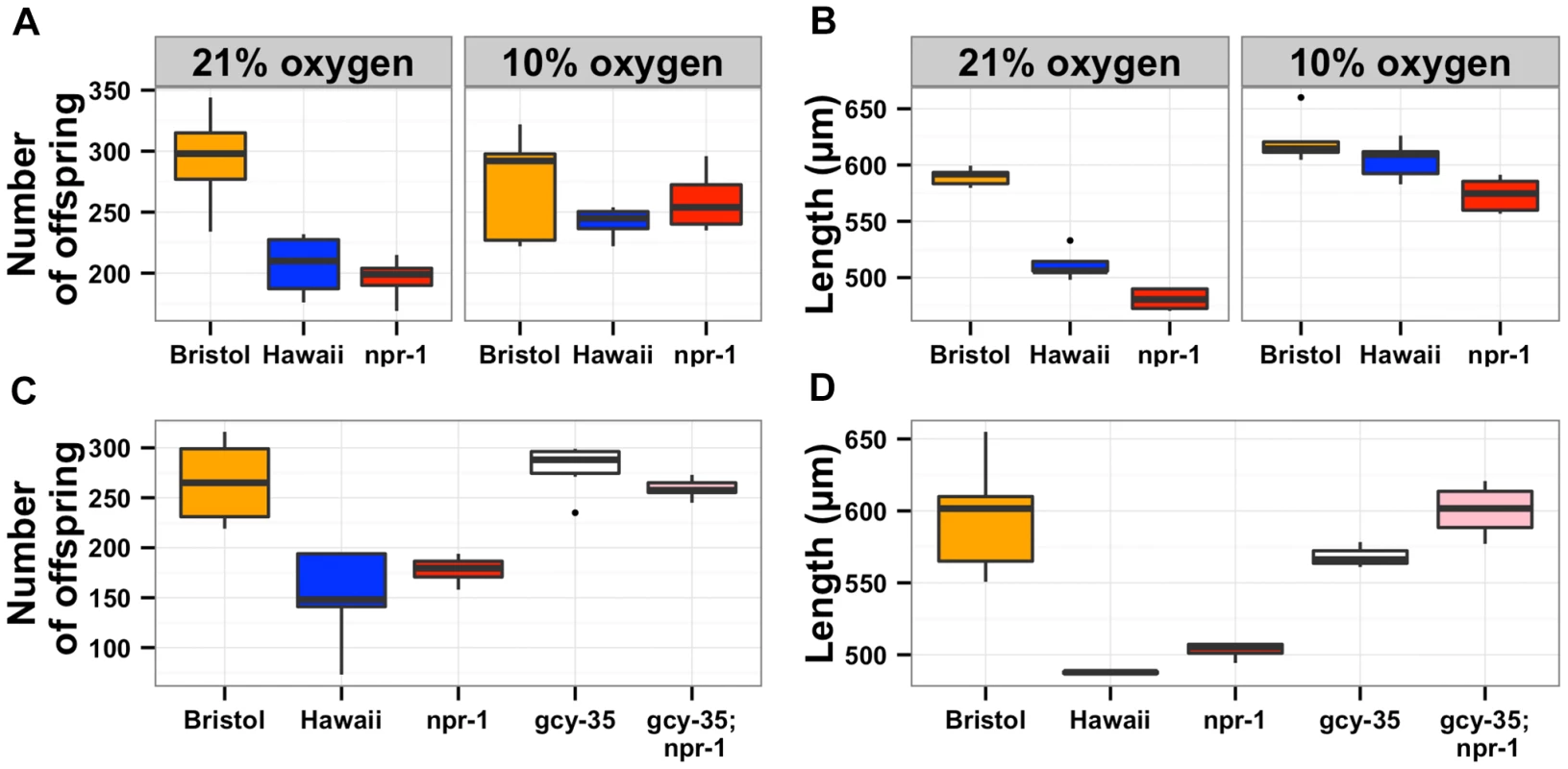 The effects of aerotaxis behaviors on lifetime fecundity and adult body size.