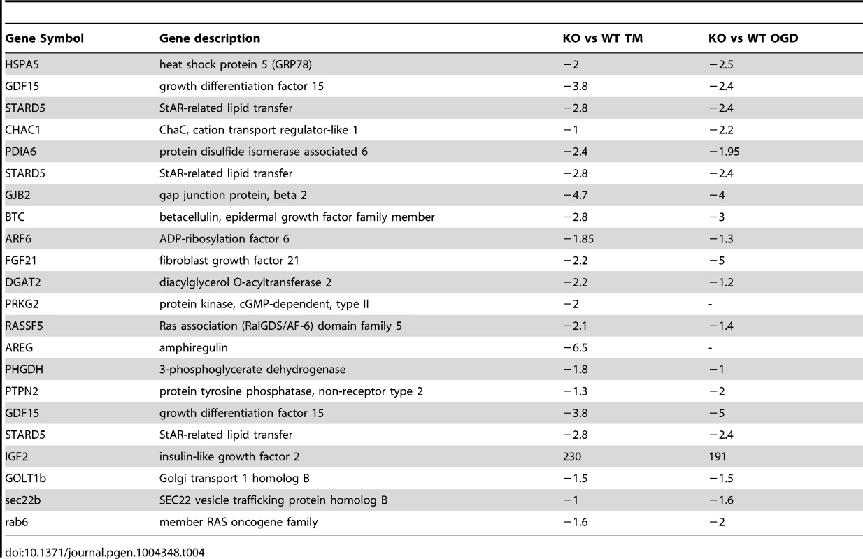 Representative of ER stress genes deregulated in both the microarray from Siah1a/2 KO MEF cells and the published microarray performed on ATF4 KO MEF cells or PERK KO liver after TM treatment.