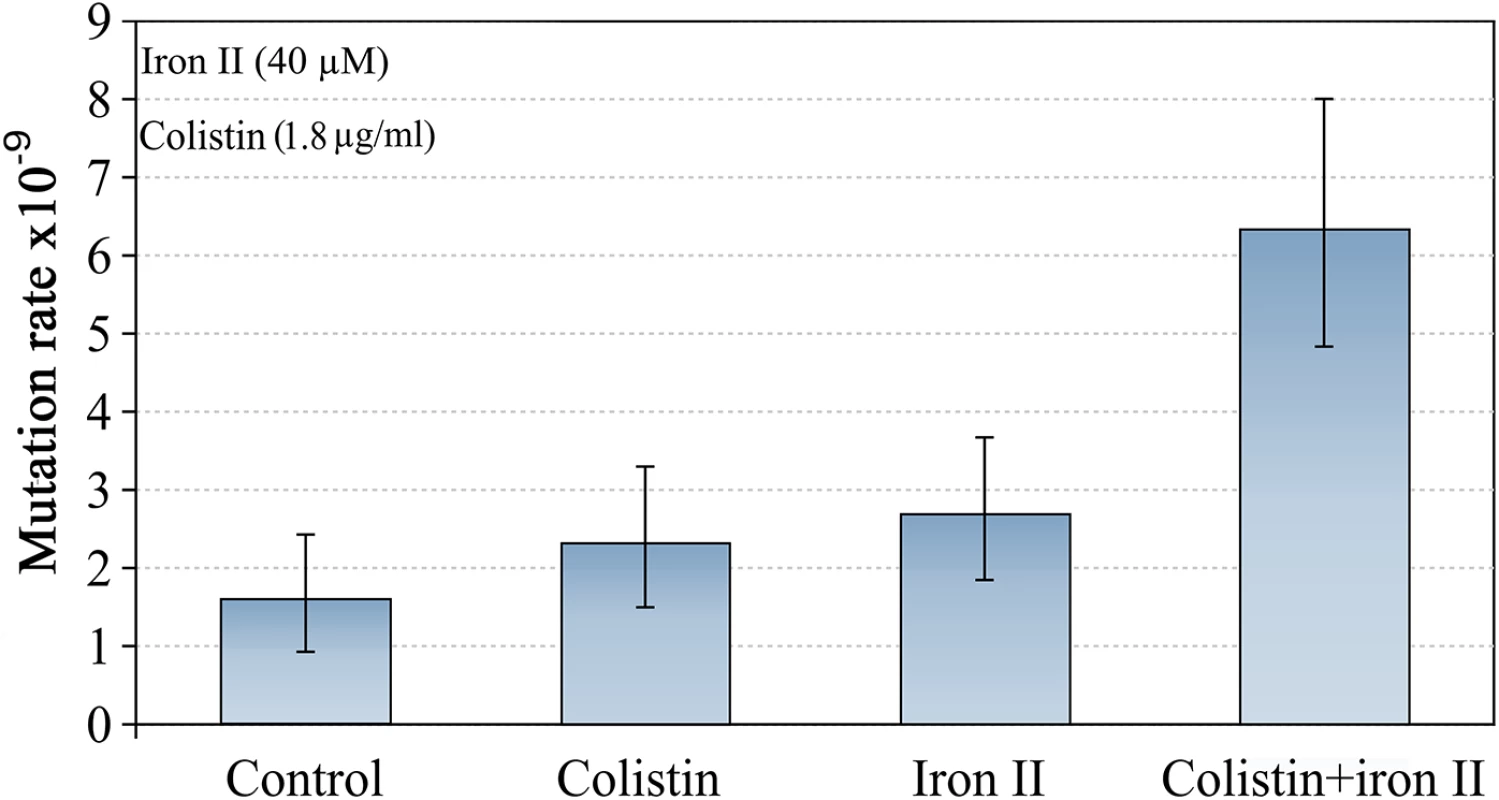 Mutagenesis induced by colistin and Fe<sup>2+</sup> combination.