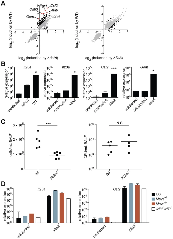 A unique transcriptional response in macrophages infected with virulent <i>L. pneumophila</i>.
