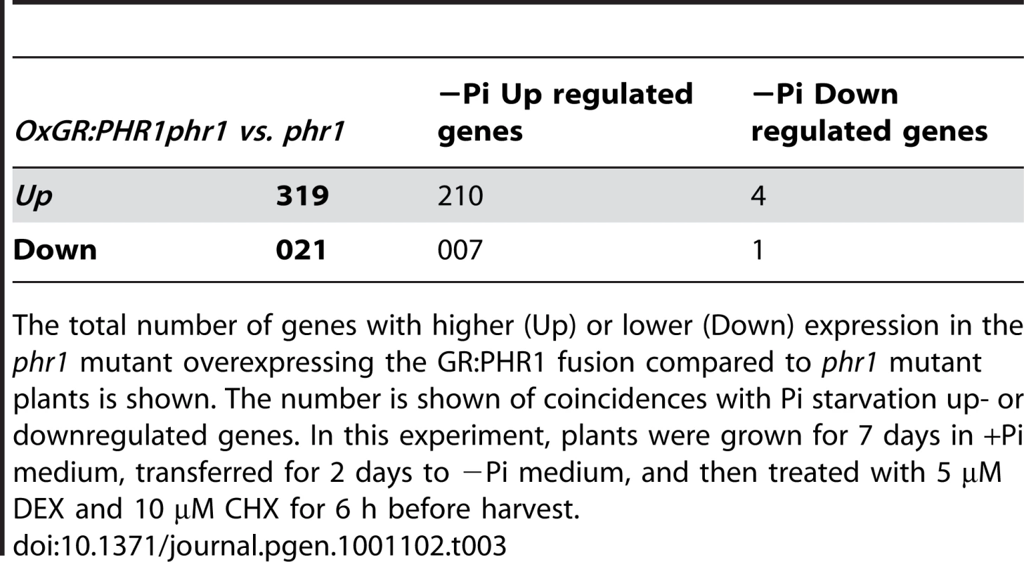 PHR1 direct targets.