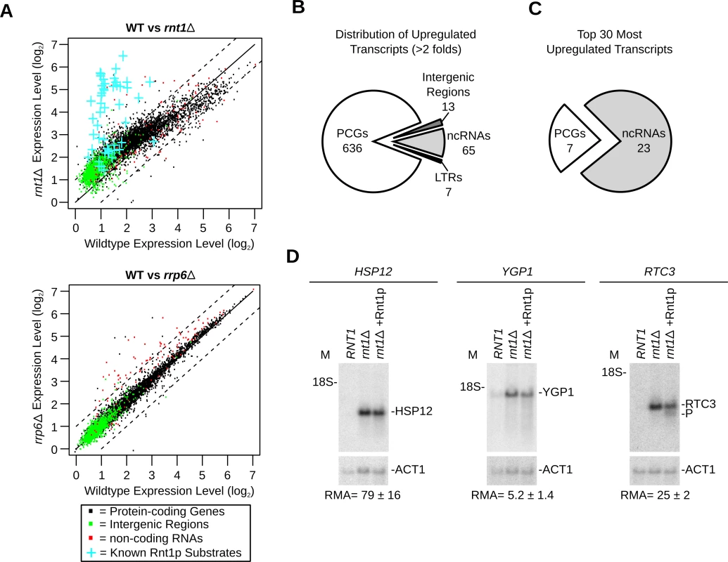 Gene expression is a poor indicator of substrate reactivity.