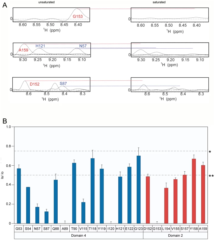 The receptor contact residues with PA domain 2 and 4 that are saturated at pH 8.0. 
