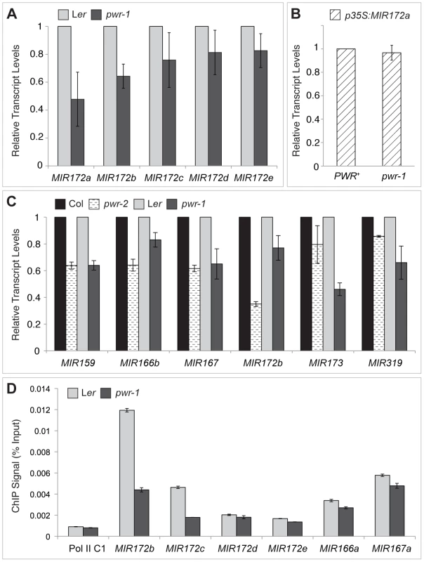 pri–miRNA abundance and Pol II occupancy at <i>MIR</i> genes in <i>pwr-1</i> and <i>pwr-2</i>.