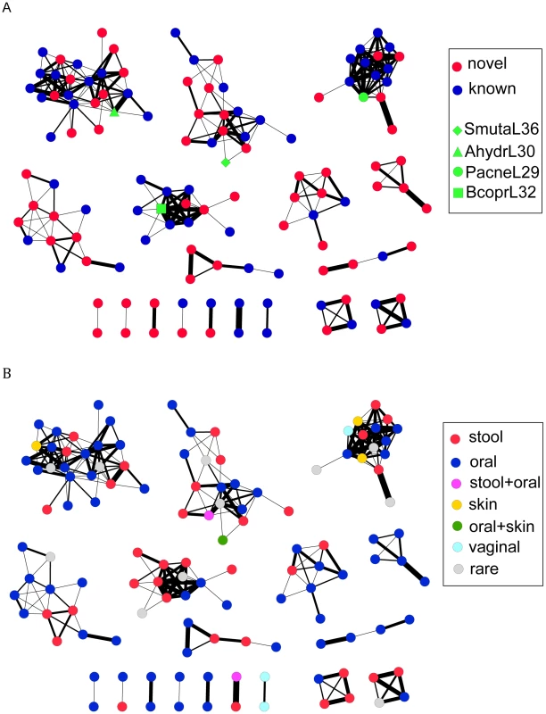 Visualizations of the CRISPR network of 150 CRISPRs, each represented as a node.