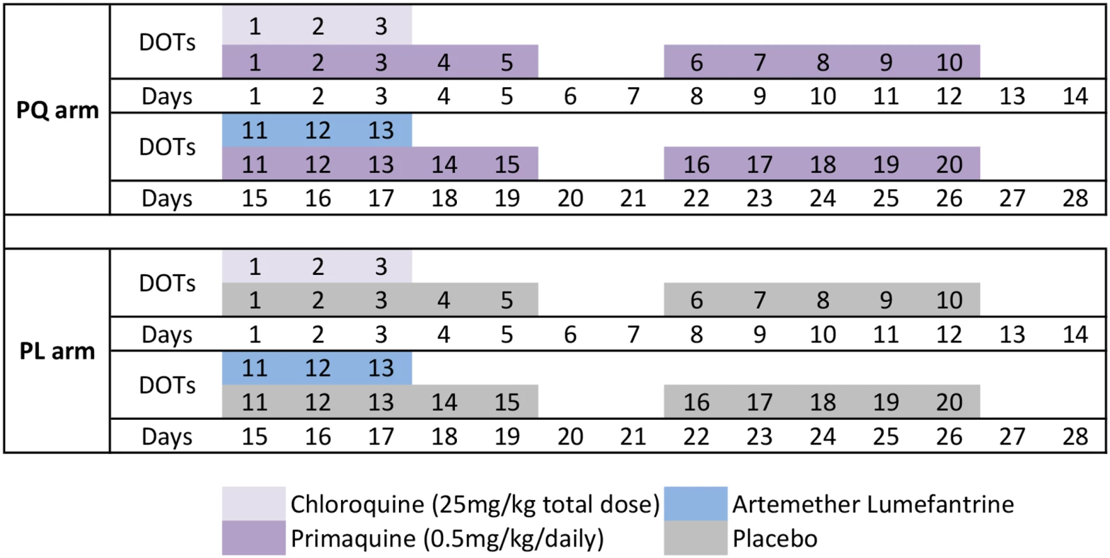 Drug administration schedule.