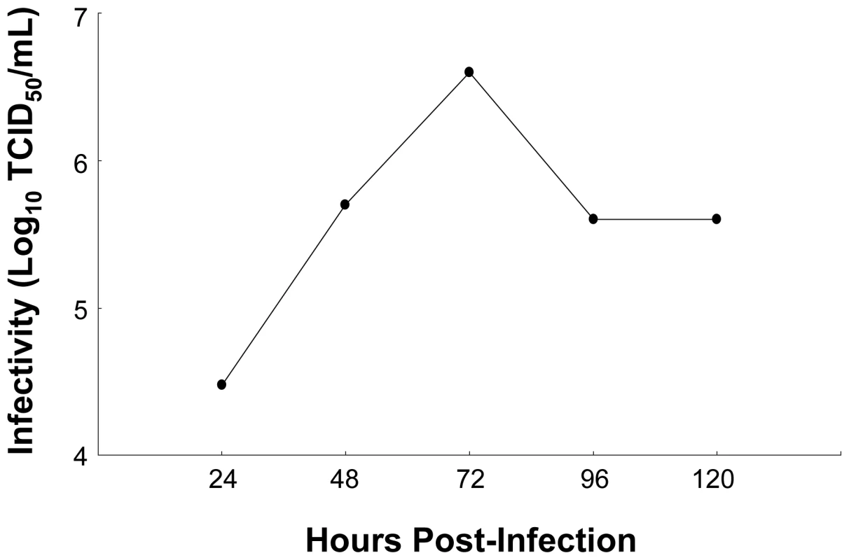 Production of infectious HCV in cell culture.