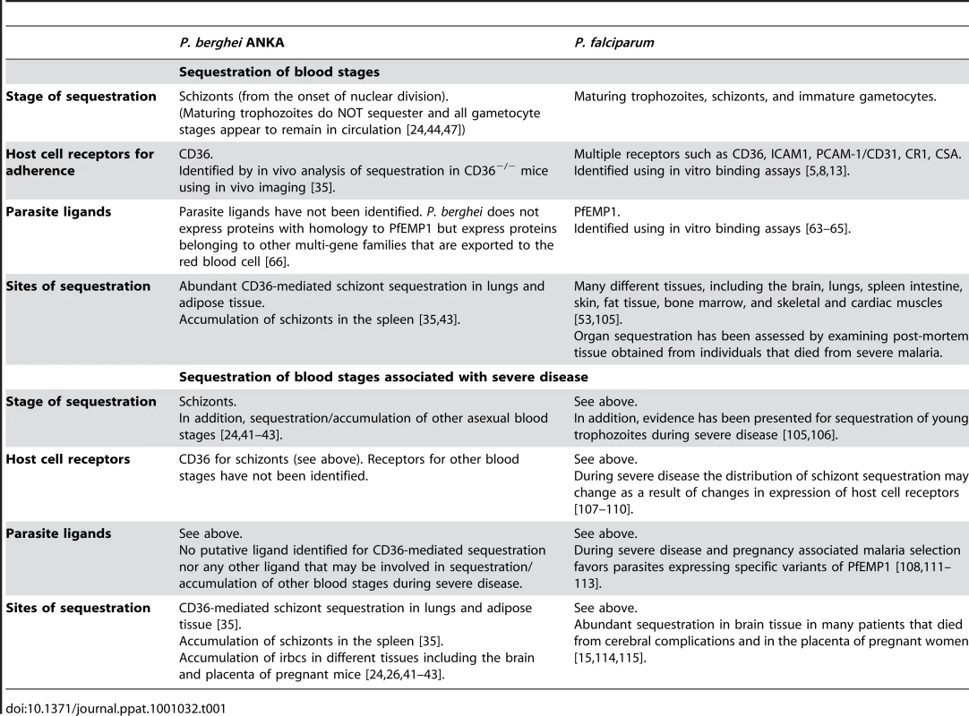 Sequestration Properties of Blood Stages of <i>P. falciparum</i> in Humans and <i>P. berghei</i> ANKA in Rodents.