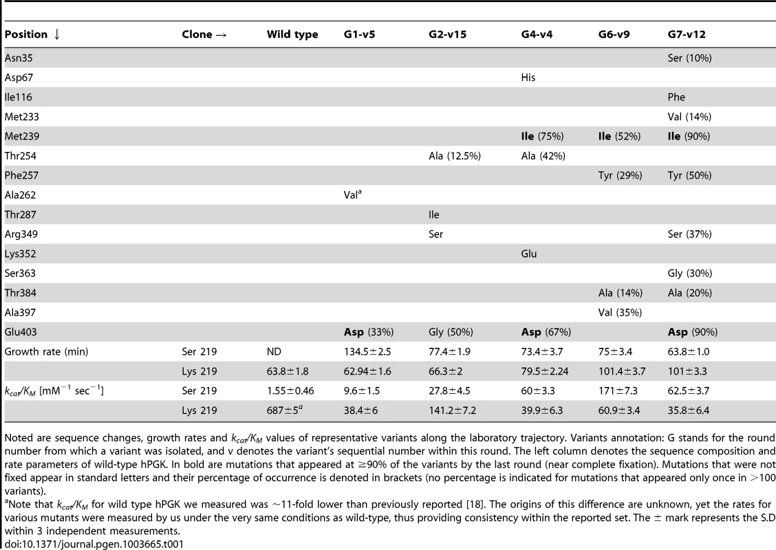 Representative variants underlining the directed evolution of hPGK- serine 219.