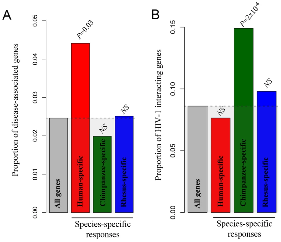 Species-specific immune responses and disease susceptibility.