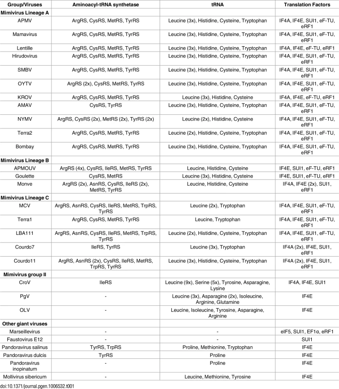 Giant viruses’ translation-related genes.