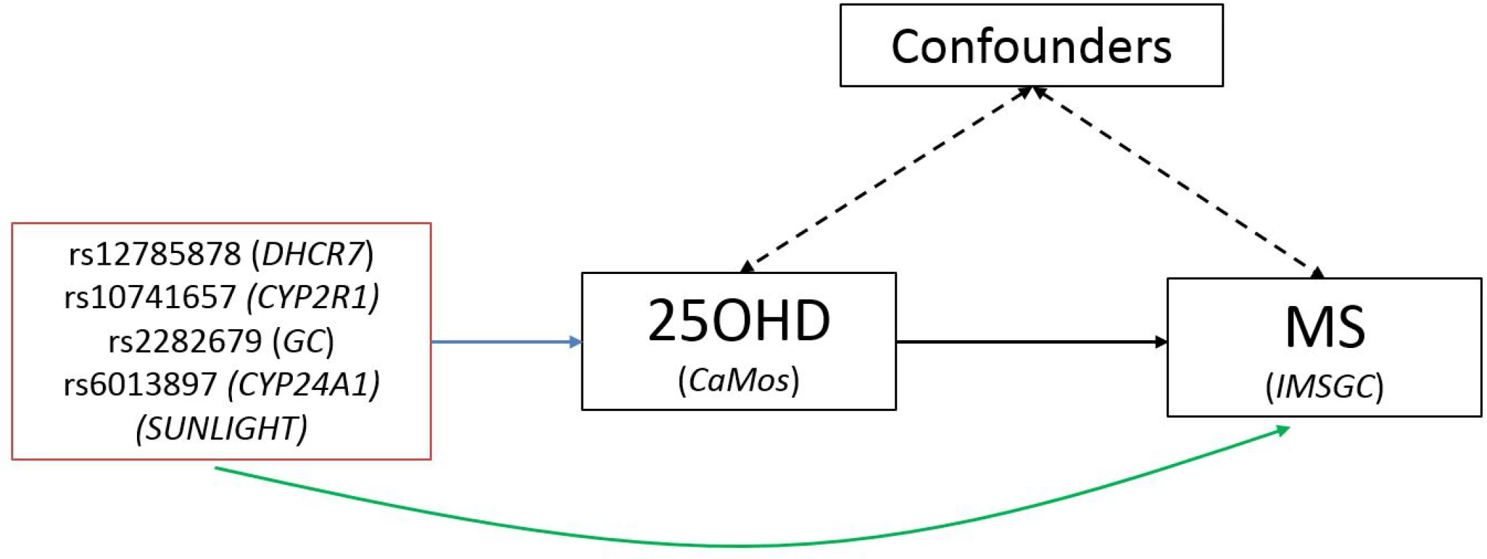 Schematic representation of Mendelian randomization analysis.