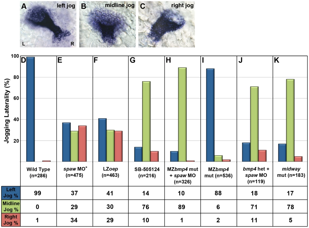 Jogging laterality phenotypes.