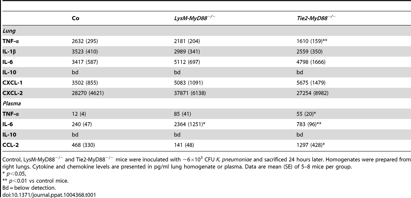 Inflammatory response in <i>LysM-MyD88<sup>−/−</sup></i> and <i>Tie2-MyD88<sup>−/−</sup></i> during <i>K. pneumonia</i> pulmonary tract infection.