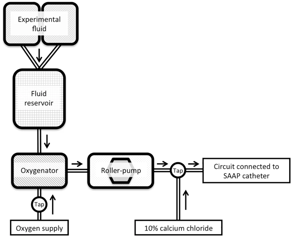SAAP circuit.