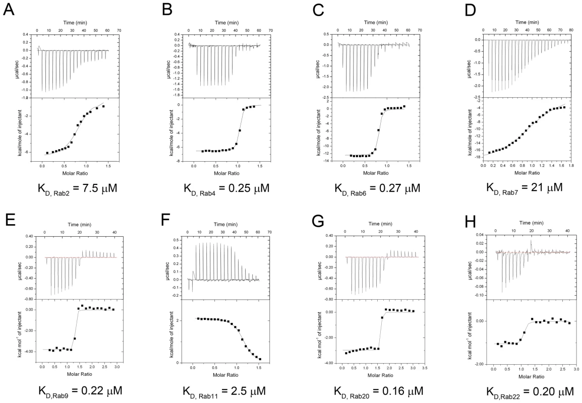 Measurement of binding affinity between LidA and 9 kinds of Rabs by ITC.