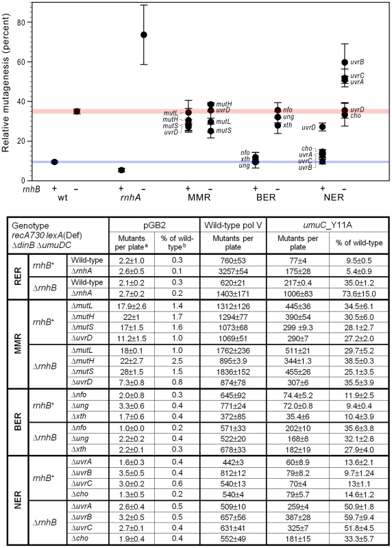 Effect of inactivating RER, MMR, BER and NER on spontaneous mutagenesis in <i>recA730 lexA</i>(Def) Δ<i>dinB</i> strains Δ<i>umuDC</i>.