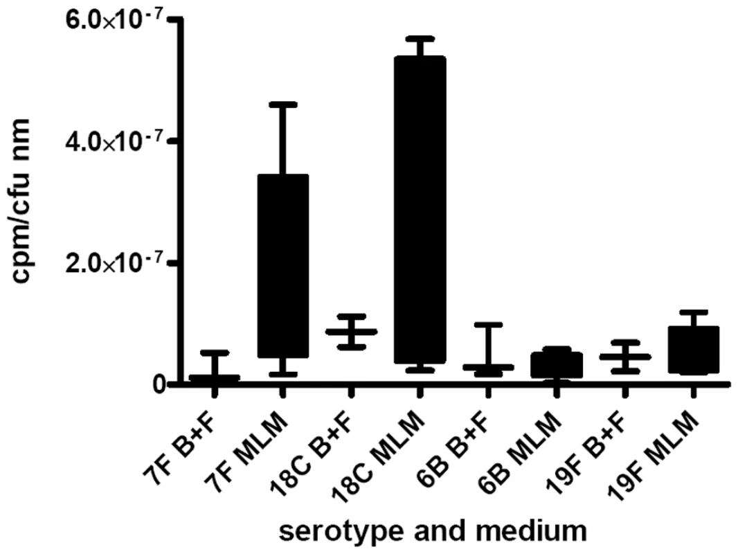 Metabolic burden of capsule was determined by incorporation of 3H-labelled glucose into the capsule.