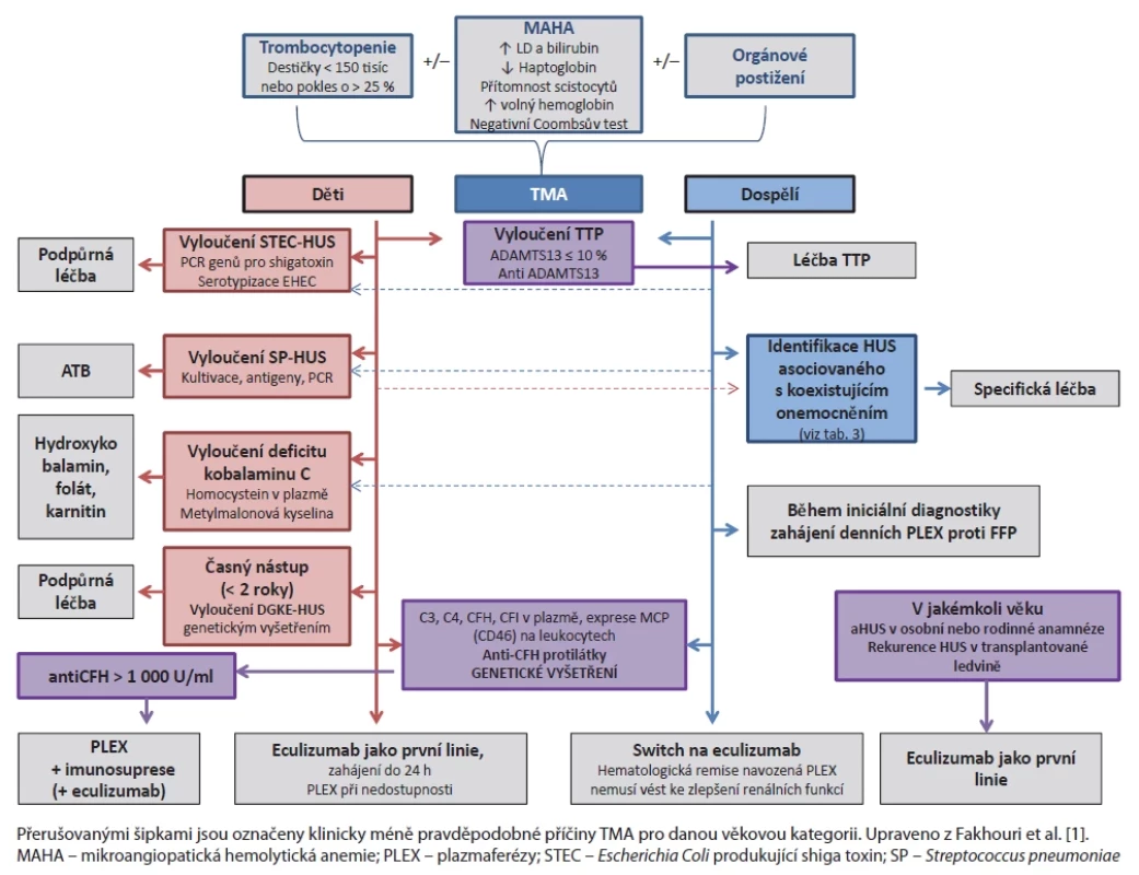 Diagnostický a diferenciálně diagnostický algoritmus aHUS.