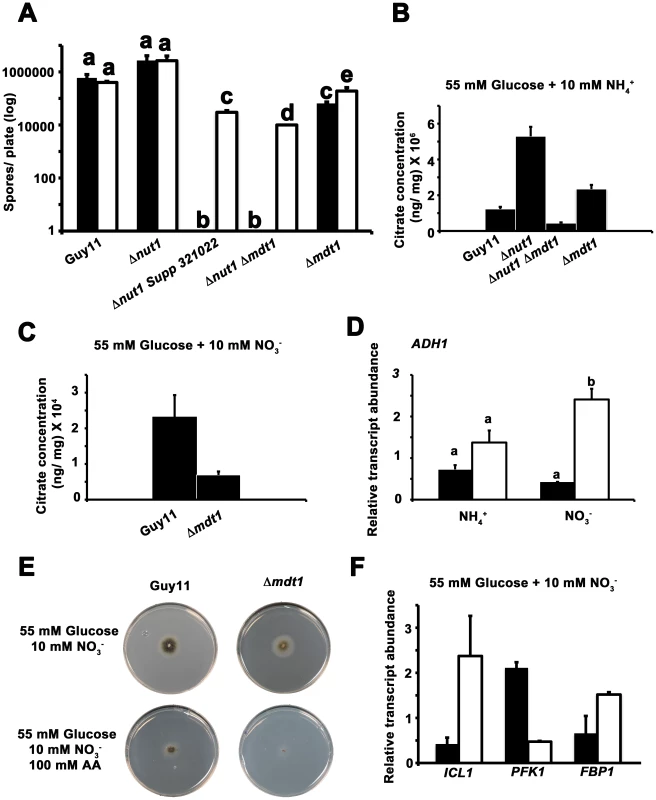Elucidating the function of the Mdt1 efflux protein.