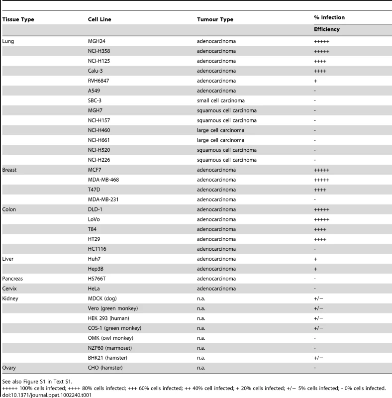 Adenocarcinoma cell lines tested for susceptibility to wt MV-EGFP infection.