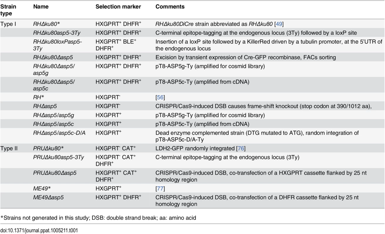 <i>T</i>. <i>gondii</i> strains used and developed in this study.