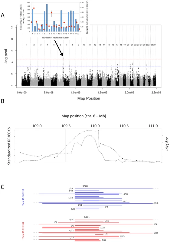 Log(1/p) values for <i>cis</i>-acting haplotype effects on local recombination rate, normalized recombination rate, and marker intervals.