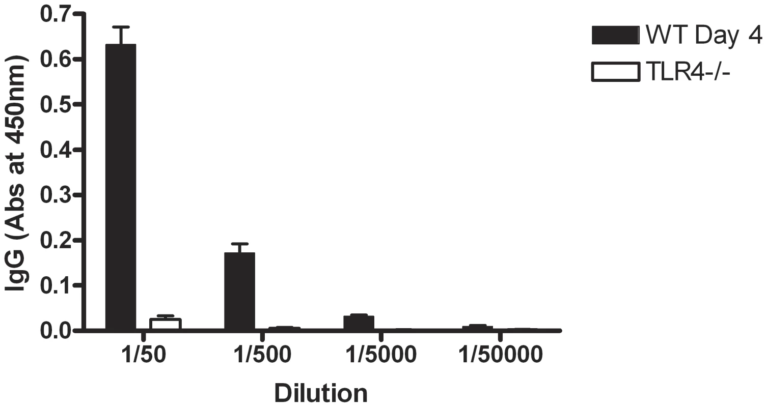 TLR4<sup>−/−</sup> mice do not develop an antibody response to SLPs following infection.