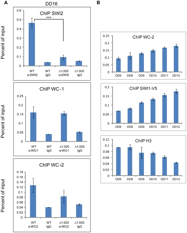 The binding of SWI/SNF to the <i>C box</i> relies on aa 1-300 of WC-1 and increases prior to the peak of <i>rq</i> expression.
