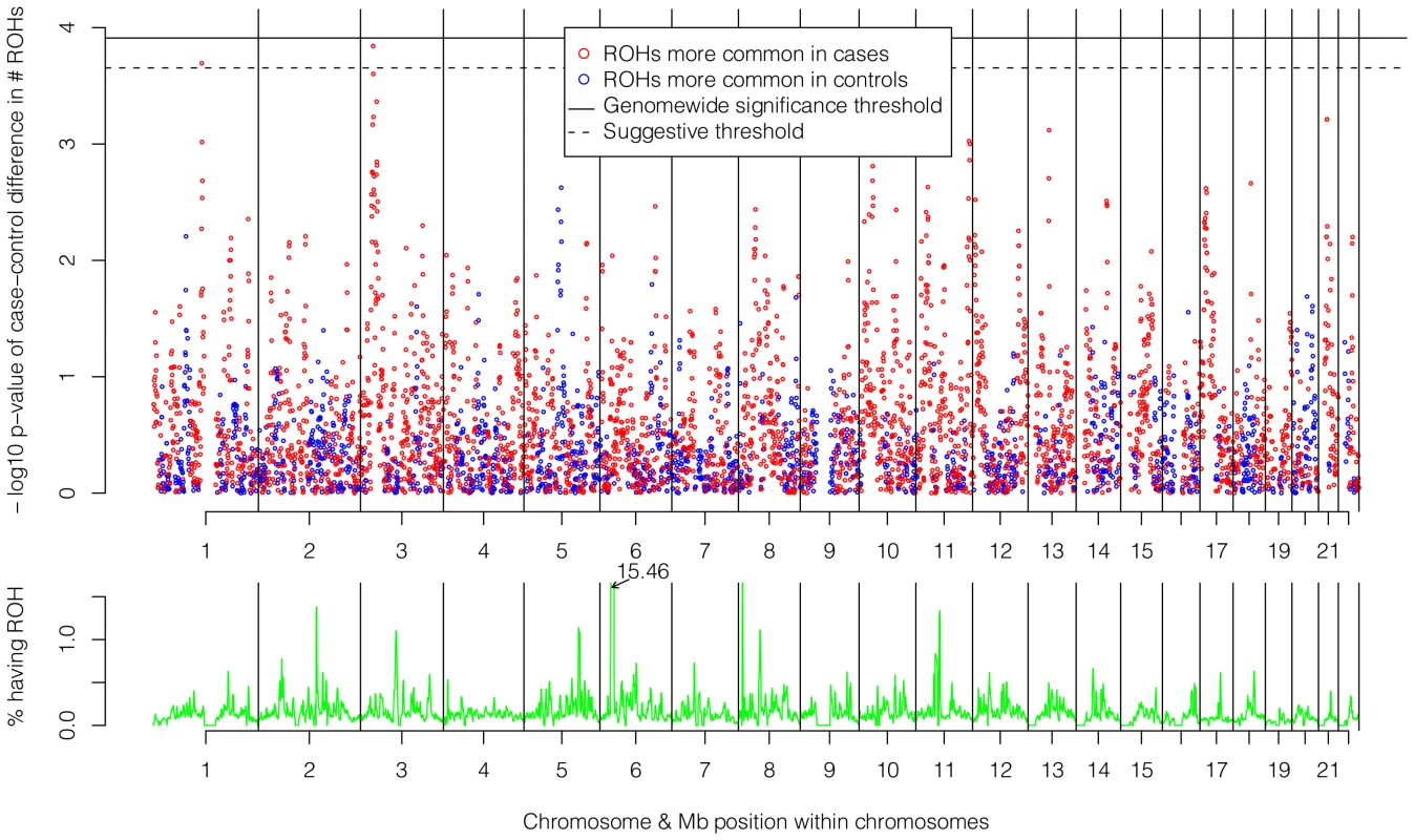 Risk and protective effects of ROHs on schizophrenia risk and frequencies of ROHs across the autosome.