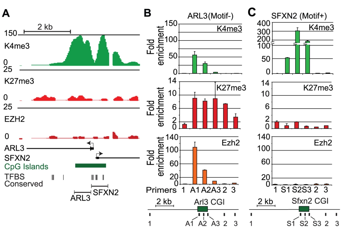 Removal of activating transcription factor motifs initiates PRC2 recruitment.