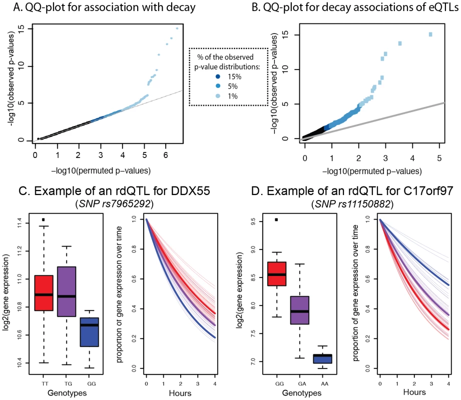 Genome-wide identification of rdQTLs and representative examples.