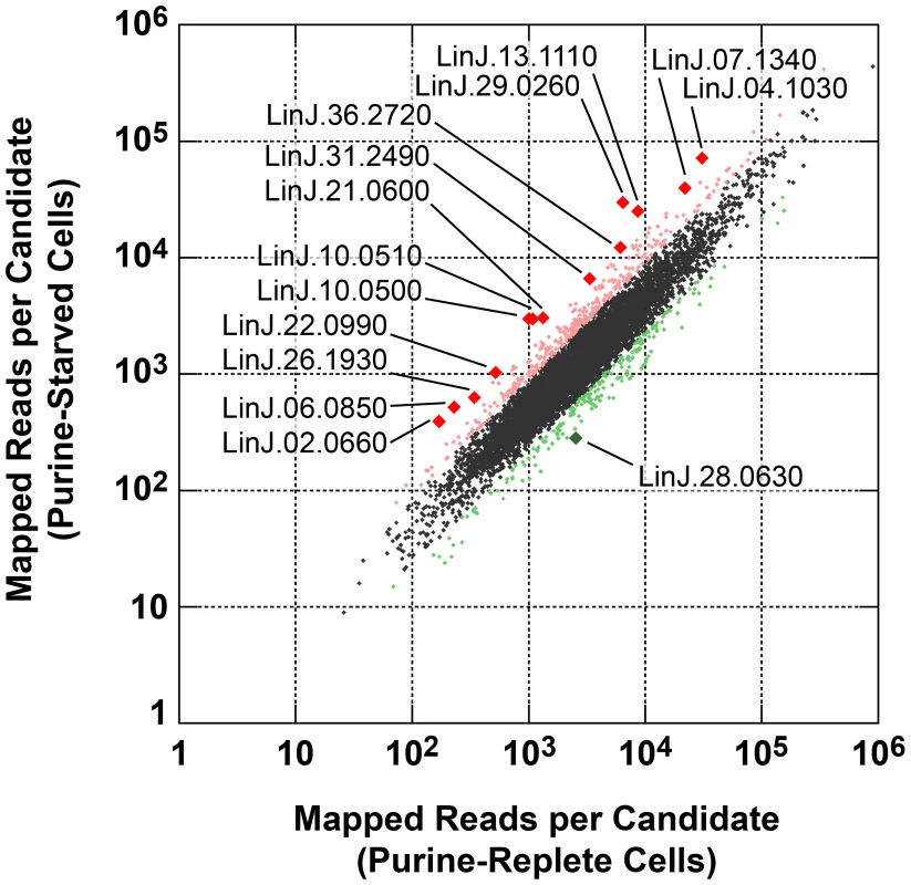 Scatter plot of SL RNA-Seq data comparing mRNA abundance between purine-replete and purine-starved cells.