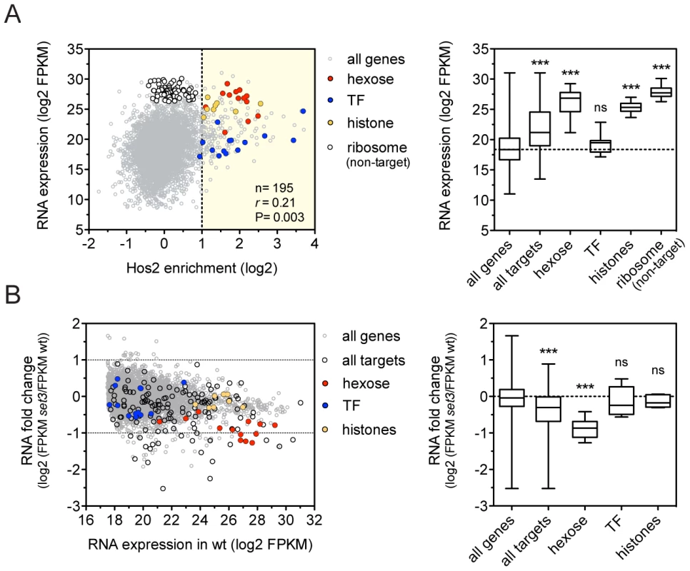 The Set3C decorates highly transcribed genes.