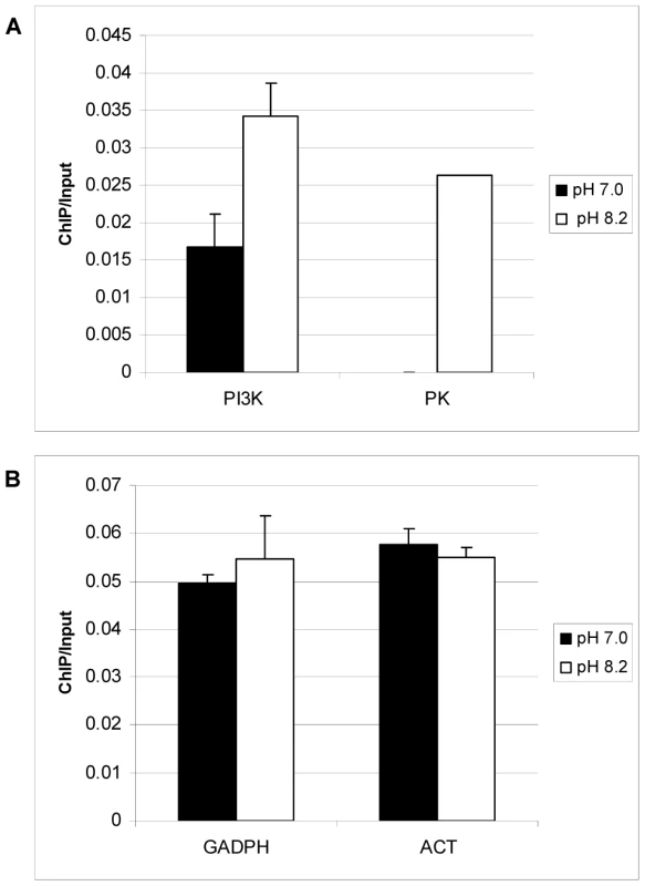 TgGCN5-A is enriched at genes up-regulated during alkaline pH stress.