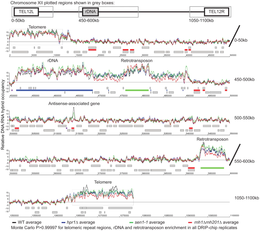 Genome-wide profiles of DNA:RNA hybrids in revealed similar enrichment of rDNA, retrotransposons and telomeres in wild type and mutants.