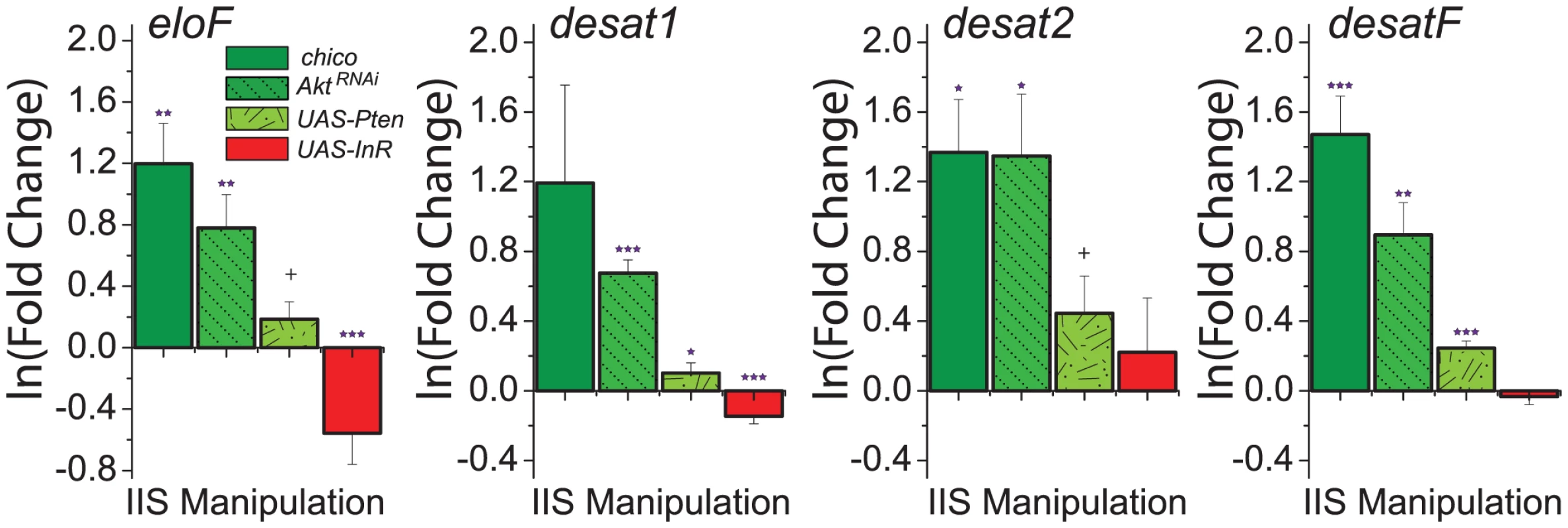 Genes involved in CHC synthesis are transcriptionally regulated by insulin signaling.