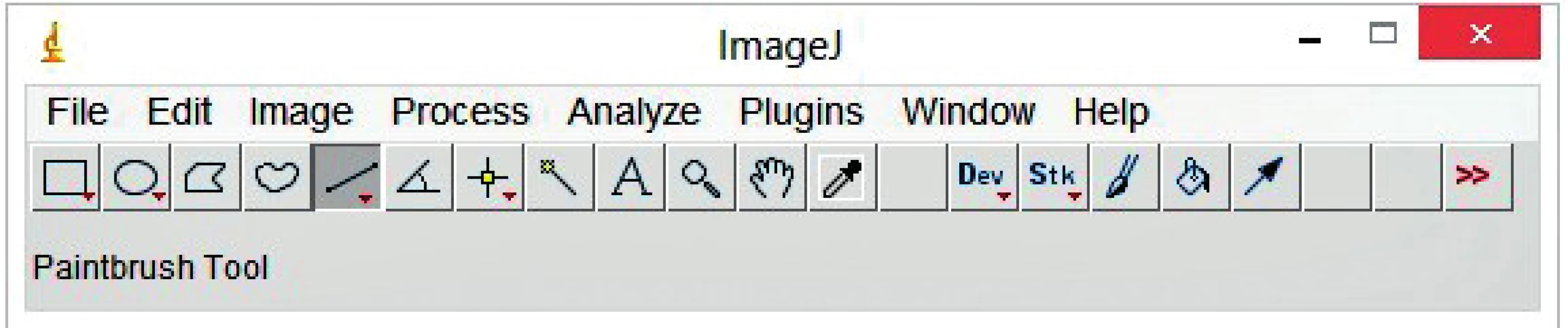Program ImageJ