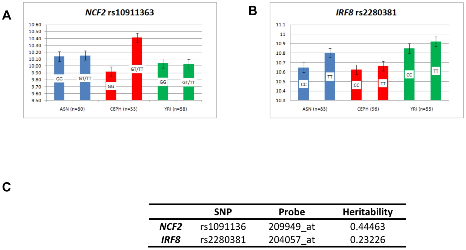 Expression pattern in EBV-transformed lymphoblastoid cell lines.