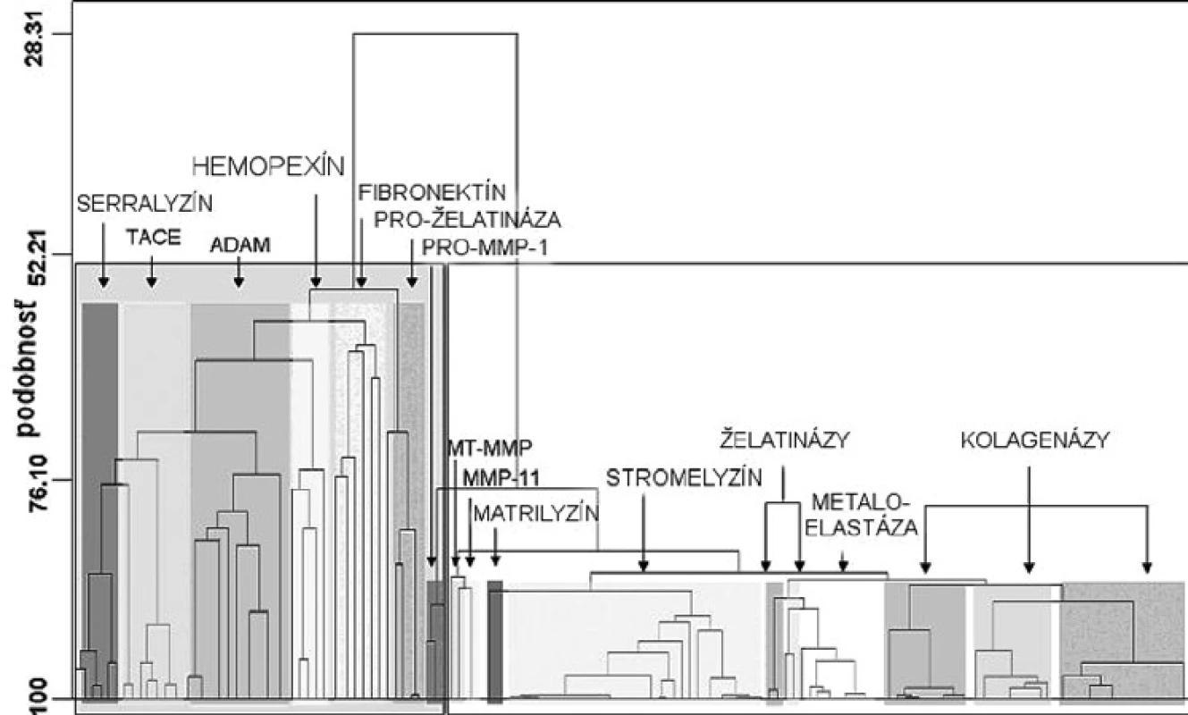 Dendogram stromovitých klastrov proteínov metaloproteáz. Hodnoty sekvencie a podobnosti sú na horizontálnych, resp. na vertikálnych osiach <sup>11)</sup>