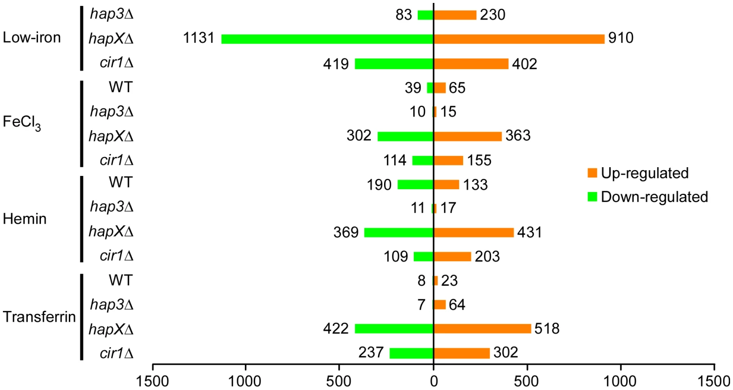 Overview of differentially-regulated genes in response to different iron sources.
