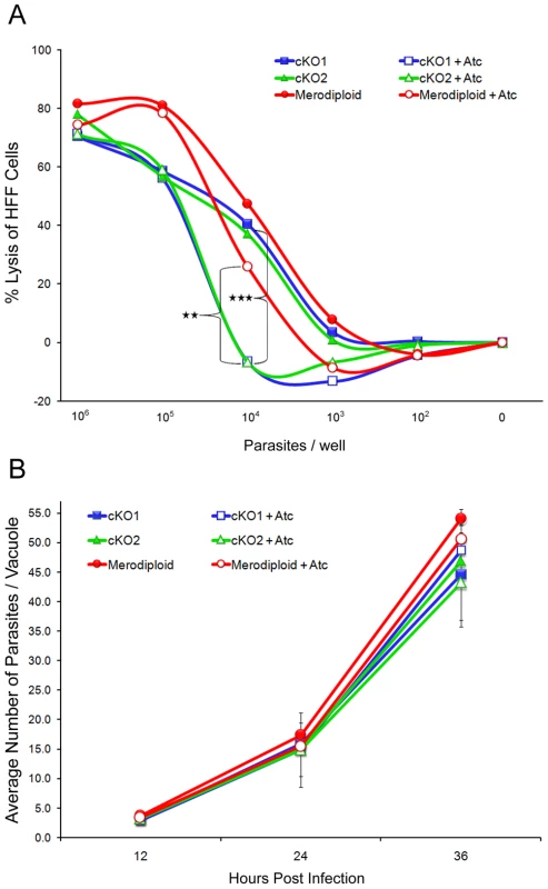 Intracellular growth is unaffected in TgROM4 conditional knockouts.